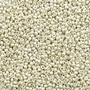 Miyuki Rocailles 15/0 Duracoat galvanized silver 15-4201