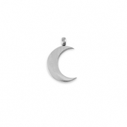 Stainless Steel - Rostfrei Stahl Anhänger La Luna Mond Silver