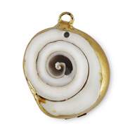 Muschel Anhänger Specials Schnecke Ivory-gold
