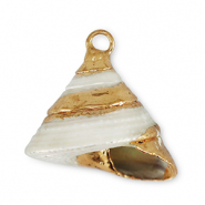 Muschel Anhänger Specials Schnecke Pearl-gold