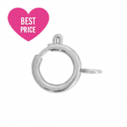 Stainless Steel - Rostfreiem Stahl Schmuckzubeh&ouml;r Verschluss 6x8mm Silber