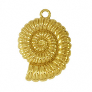 Stainless Steel - Rostfrei Stahl Anh&auml;nger Muschel Gold