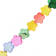 Muschel Perlen Blume Multicolour