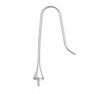 Stainless Steel - Rostfrei Stahl Schmuckzubehör Ohrringe / Ohrhänger mit Endkappe Silver