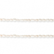 S&uuml;sswasserperlen Rice Natural white