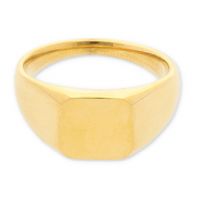 Ringe aus Stainless Steel - Rostfreiem Stahl mit Viereck Gold