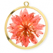 Anh&auml;nger mit getrockneter Blume 34 mm Gold-living coral red