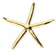 Stainless Steel - Rostfrei Stahl Statement Broschen Seestern Gold