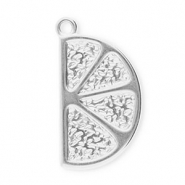 Stainless Steel - Rostfrei Stahl Anhänger Fruchtscheibe Silver
