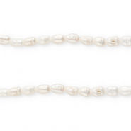 TQ S&uuml;sswasserperlen Rice 5x4 mm Natural white