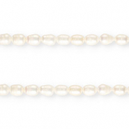 TQ Süsswasserperlen Rice 11x8mm Natural white