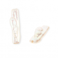 Imperfekten Süßwasserperlen Tooth Natural white
