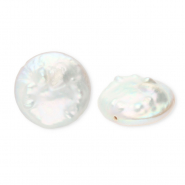 Imperfekten Süßwasserperlen coin Pearl white