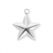 Anhänger aus rostfreiem Edelstahl, Stern Silver