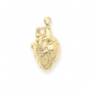 Anhänger aus rostfreiem Edelstahl, Anatomisches Herz Gold