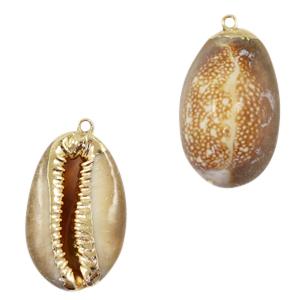 Muschel Anh&auml;nger Specials Kauri Mixed brown-gold