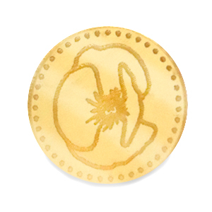 Plexx Cabochons 20mm Geburtsblume August-Mohnblume Gold