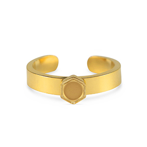 Geburtssteine Ring mit Fassung f&uuml;r SS16 Flatback aus Stainless Steel Gold