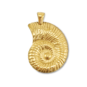 Stainless Steel - Rostfrei Stahl Anh&auml;nger Muschel Gold