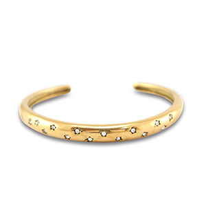 Armb&auml;nder aus Stainless Steel - Rostfreiem Stahl Bangle Gold