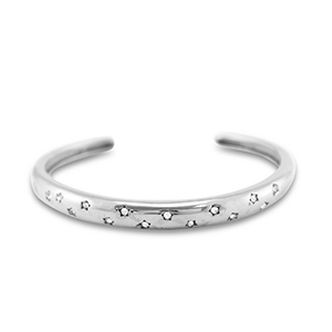 Armb&auml;nder aus Stainless Steel - Rostfreiem Stahl Bangle Silver