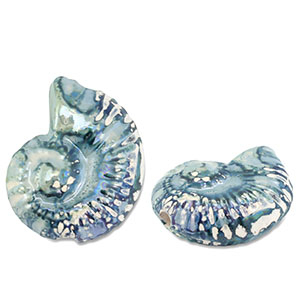 DQ Griechische Keramik Perlen Muschel Green-blue-white