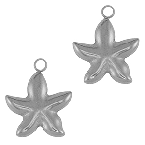 Stainless Steel - Rostfrei Stahl Anh&auml;nger Seestern Silver