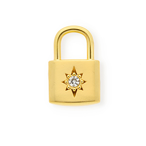 Anh&auml;nger aus rostfreiem Edelstahl mit Strass, Verschluss mit Stern Gold-crystal